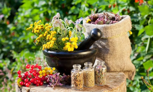 Herbs from helminths