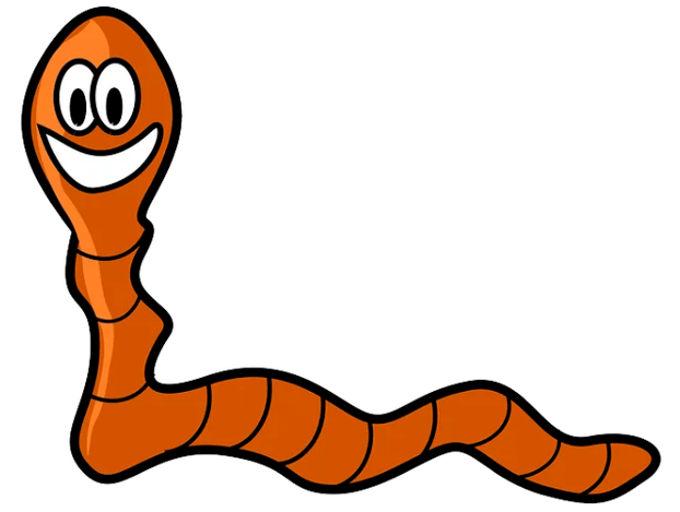 Parasites in your body