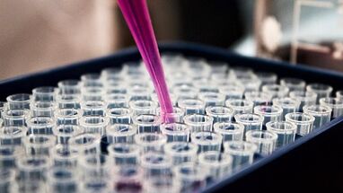 how to take tests for the detection of parasites in the body